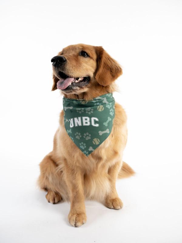 Bandana Dog UNBC